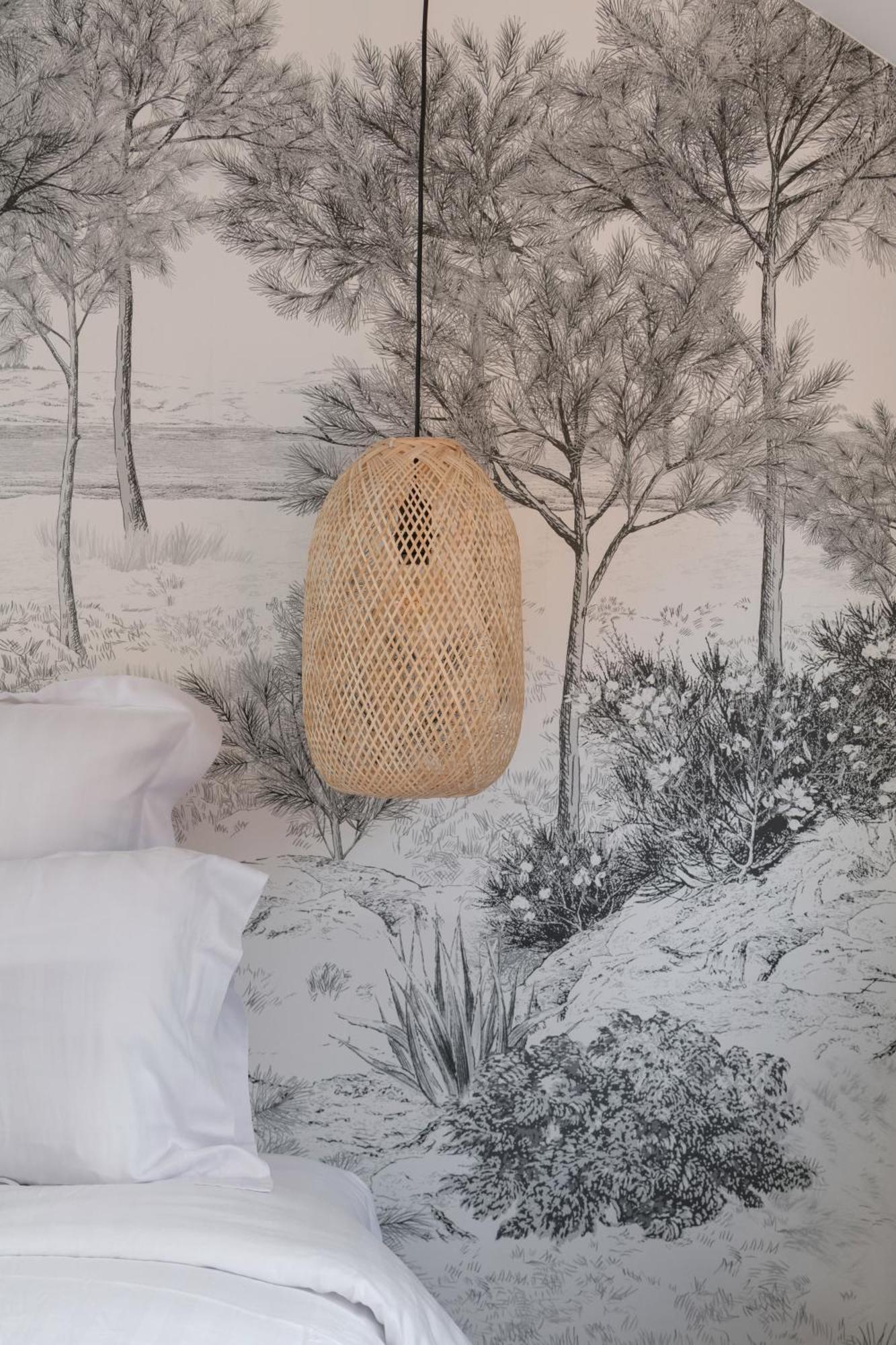 מלון La Peniche - Bed And Bicycle - Tournon מראה חיצוני תמונה